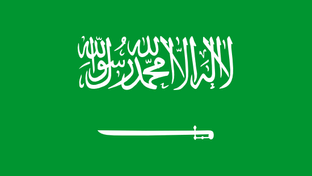 sa.png